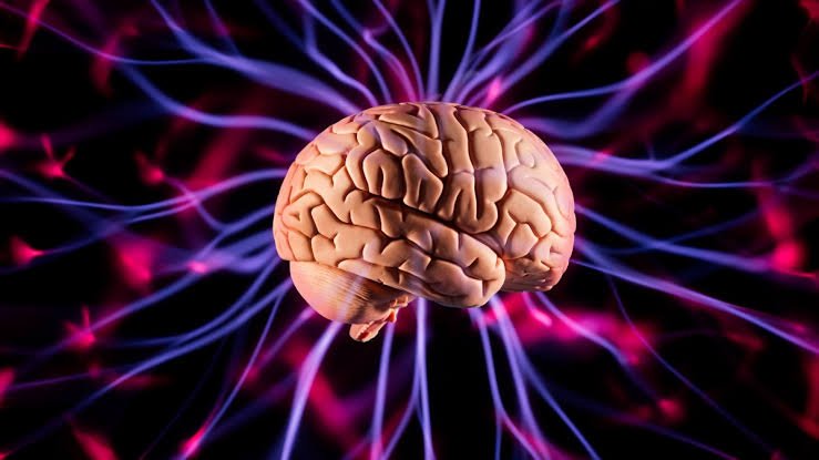 saude cerebral